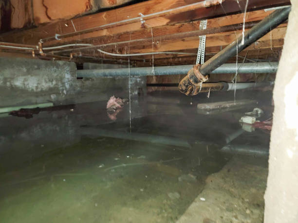 Best Basement water damage restoration  in Seven Hills, OH