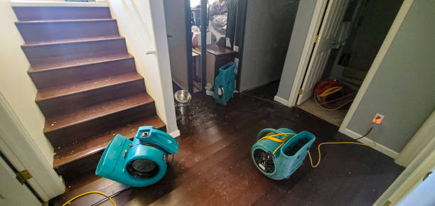 Best Fire Damage Restoration  in Seven Hills, OH