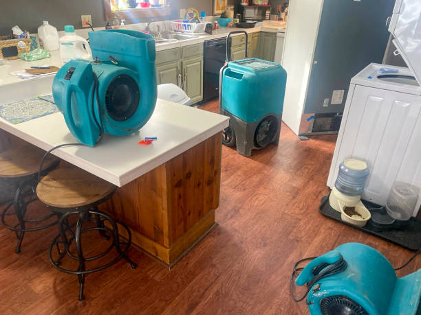 Best Water damage contractors near me  in Seven Hills, OH
