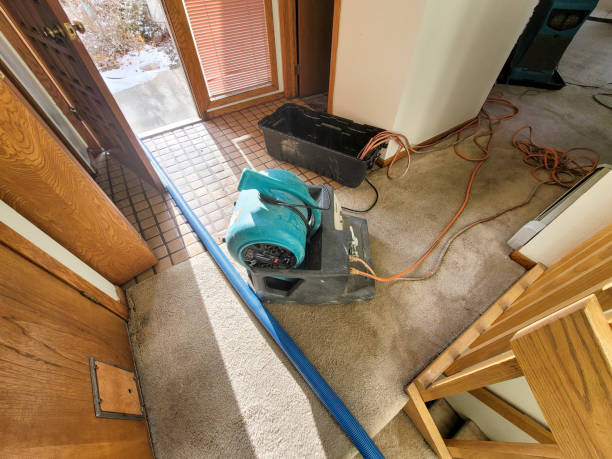 Best Ceiling water damage repair  in Seven Hills, OH