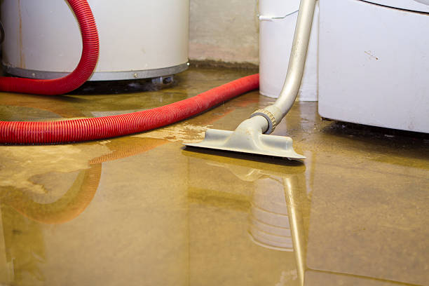 Best Carpet water damage restoration  in Seven Hills, OH