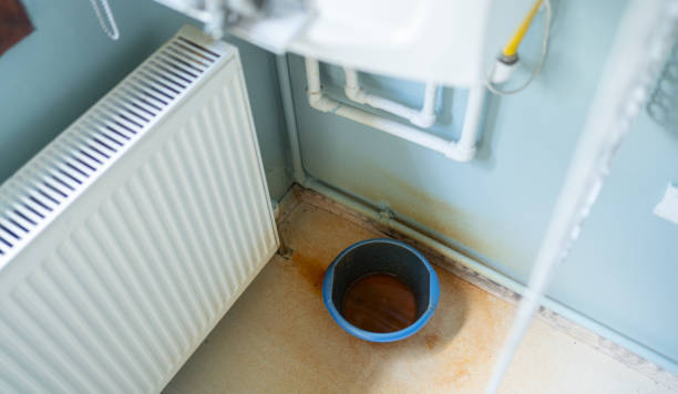 Best Water damage cleanup near me  in Seven Hills, OH