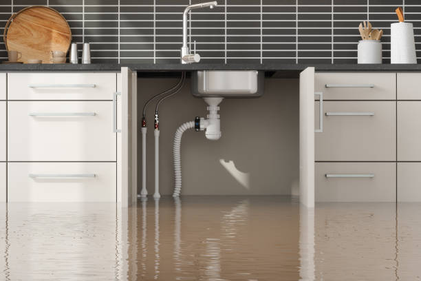 Best Flooded house restoration  in Seven Hills, OH