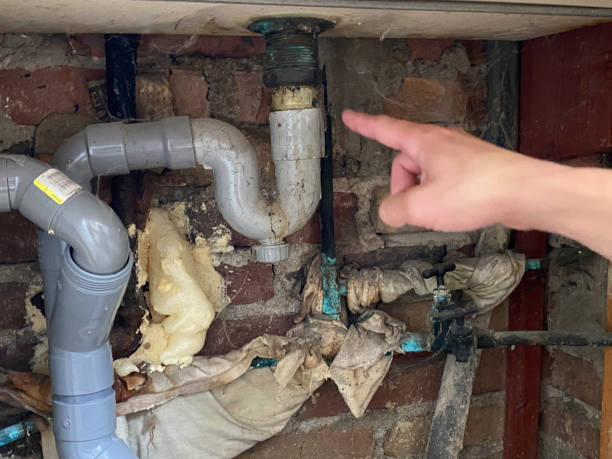 Best Local water damage restoration  in Seven Hills, OH